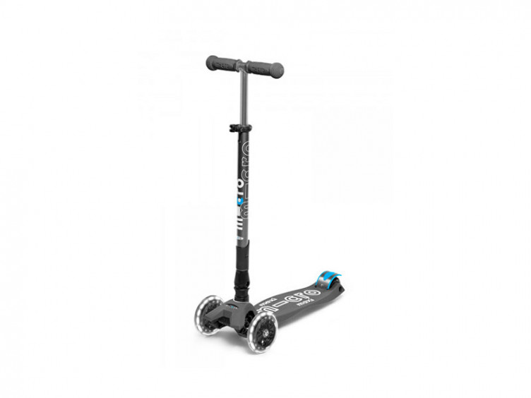 Pattes arrière avec frein bleu saphir